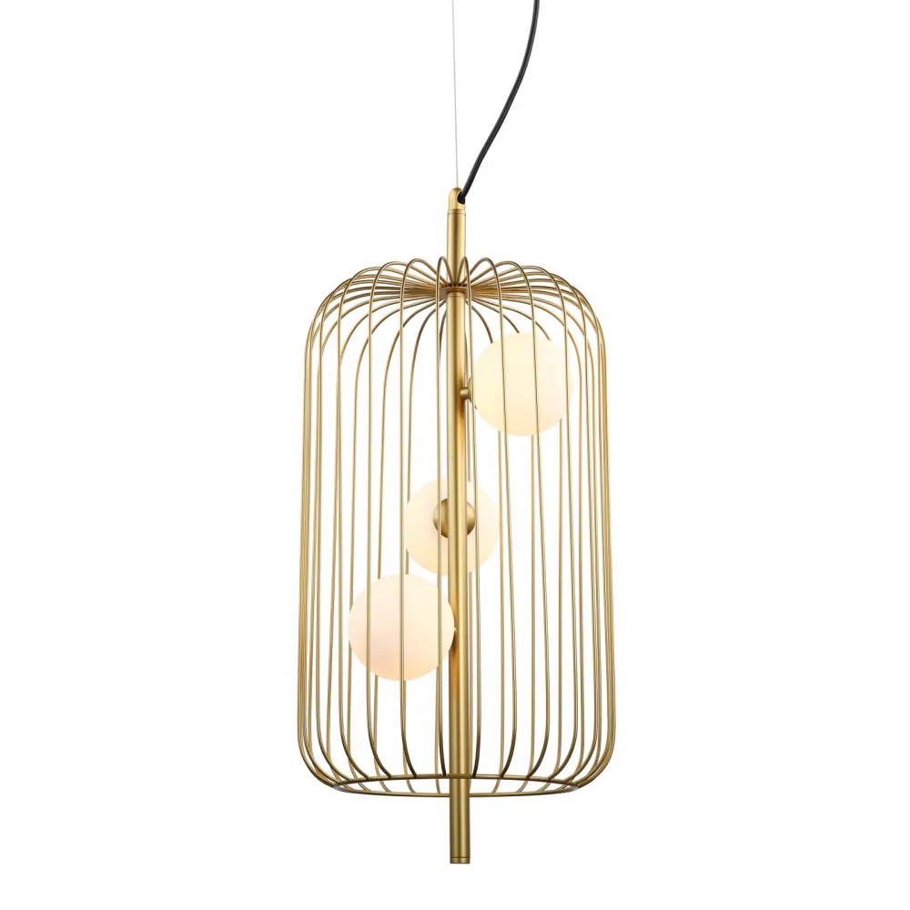 Italux Hayden  IT-MDM-3934/3 GD