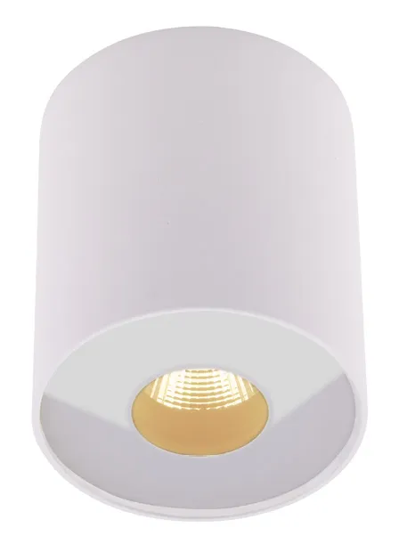 Maxlight PLAZMA mennyezeti IP54 WH