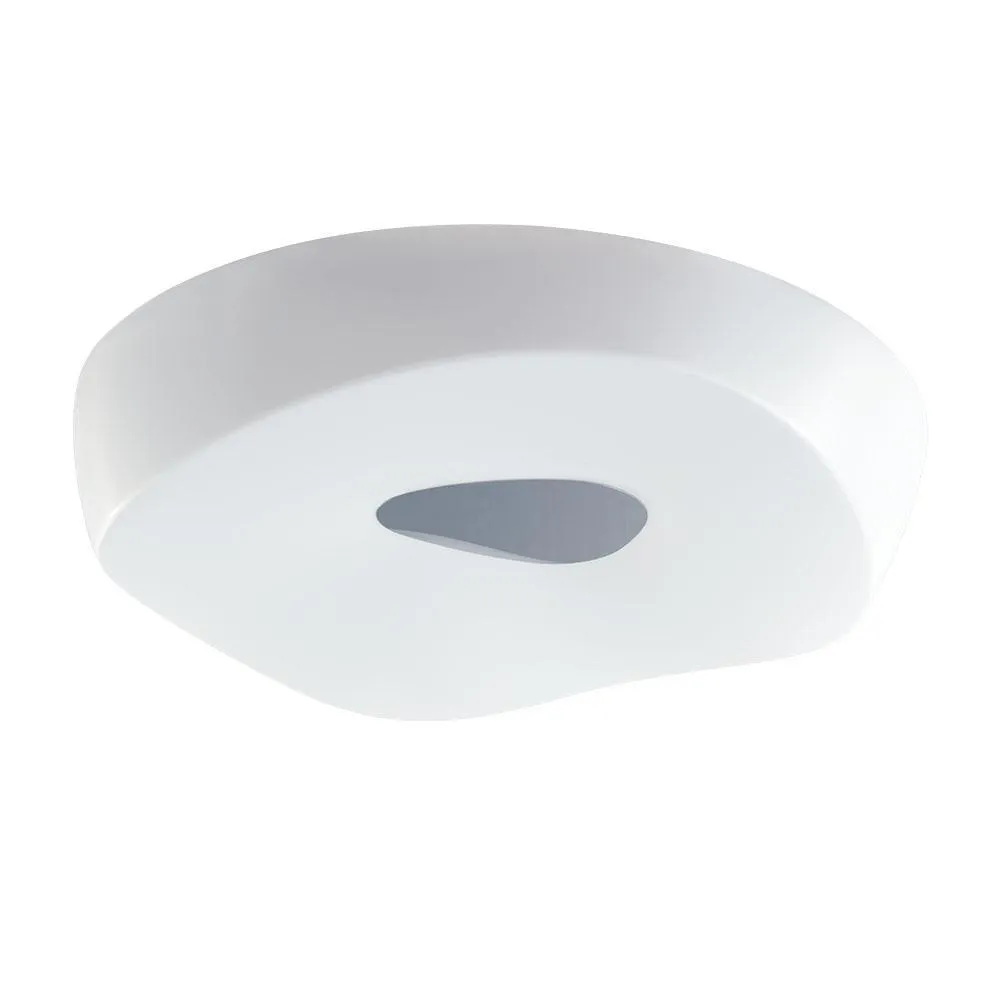 Orlicki Piattino Mega