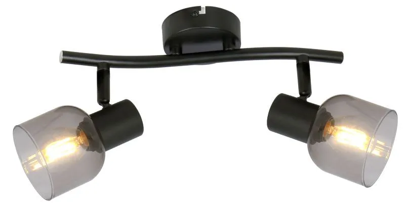 REALITY Judy spot 2-ltmetal blackglass shade smokeyfor 2 x...