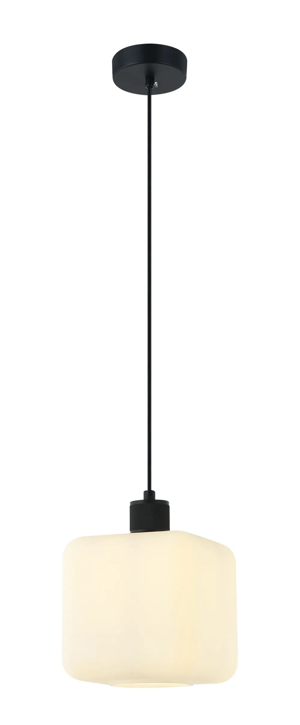 VIOKEF LILY Függeszték E27 MAX40W fekete