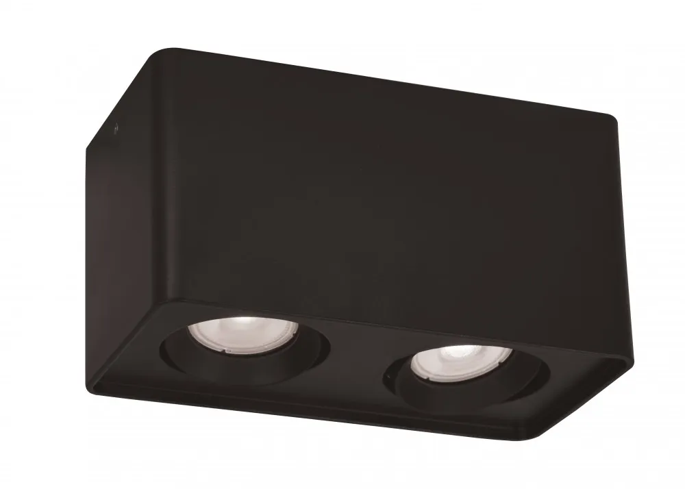 VIOKEF 2/L Ceiling Lamp Black Arion - VIO-4279901